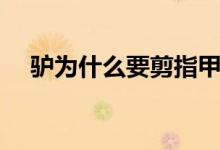 驴为什么要剪指甲（驴为什么要修蹄子）