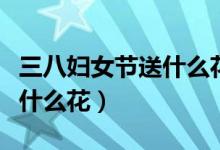 三八妇女节送什么花给老婆好（三八妇女节送什么花）