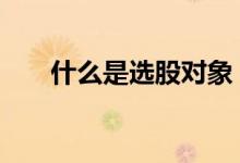 什么是选股对象 什么是股票配售对象