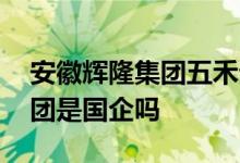 安徽辉隆集团五禾生态有限公司 安徽辉隆集团是国企吗