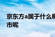京东方a属于什么概念 京东方a是深市还是沪市呢 