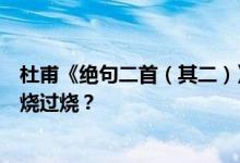 杜甫《绝句二首（其二）》江碧鸟过白山花青花燃什么叫过烧过烧？