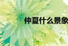 仲夏什么景象（仲夏什么意思）