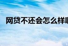 网贷不还会怎么样啊（网贷不还会怎么样）