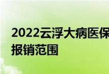 2022云浮大病医保怎么办理流程 办理条件和报销范围 
