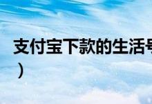 支付宝下款的生活号（支付宝生活号小额借款）