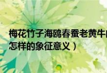 梅花竹子海鸥春蚕老黄牛的象征意义（黄牛梅花海鸥春蚕有怎样的象征意义）