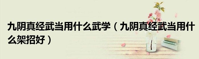 九陰真經武當用什么武學(九陰真經武當用什么架招好)