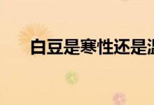 白豆是寒性还是温性（白豆是什么豆）