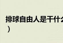 排球自由人是干什么（排球自由人是干什么的）