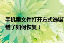 手机里文件打开方式选错了如何恢复（手机文件打开方式选错了如何恢复）
