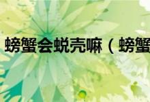 螃蟹会蜕壳嘛（螃蟹为什么会蜕壳（图文））