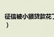 征信被小额贷款花了（征信被小贷花了怎么办）