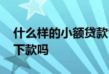 什么样的小额贷款肯定能下 小期贷有额度能下款吗