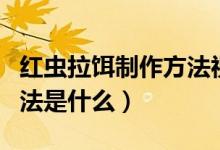 红虫拉饵制作方法视频教程（红虫拉饵制作方法是什么）