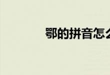 鄂的拼音怎么读（鄂的意思）