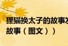 狸猫换太子的故事发生在哪里（狸猫换太子的故事（图文））