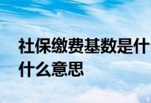 社保缴费基数是什么意思哦 社保预缴基数是什么意思