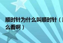 顺时针为什么叫顺时针（顺时针是什么意思啊！看顺时针怎么看啊）