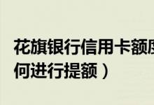 花旗银行信用卡额度高吗（花旗银行信用卡如何进行提额）