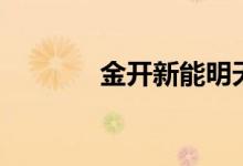金开新能明天走势（金开贷）