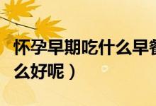 怀孕早期吃什么早餐好（孕早期早餐食谱吃什么好呢）