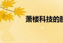 萧楼科技的股票代码是多少？