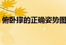 俯卧撑的正确姿势图片（俯卧撑的正确姿势）