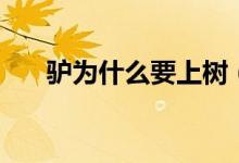 驴为什么要上树（驴为什么要修蹄子）