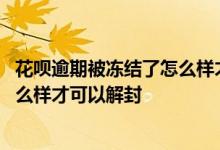 花呗逾期被冻结了怎么样才可以解封呢 花呗逾期被冻结了怎么样才可以解封