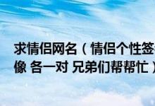 求情侣网名（情侣个性签名 情侣个人说明 情侣分组 情侣头像 各一对 兄弟们帮帮忙）