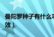 曼陀罗种子有什么功能（曼陀罗种子有什么功效）