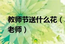 教师节送什么花（2019这几种鲜花最适合送老师）