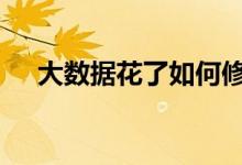 大数据花了如何修复 怎么修复大数据花