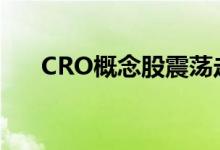 CRO概念股震荡走低药明康德跌超5%
