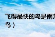 飞得最快的鸟是雨燕吗（飞得最快的鸟是哪种鸟）