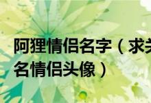 阿狸情侣名字（求关于阿狸的情侣分组情侣网名情侣头像）