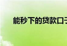 能秒下的贷款口子（贷款口子秒下的）