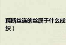 藕断丝连的丝属于什么成分（藕断丝连的“丝”属于什么组织）