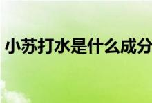 小苏打水是什么成分（小苏打水是什么样的）