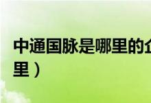 中通国脉是哪里的企业（中通国脉所在地是哪里）