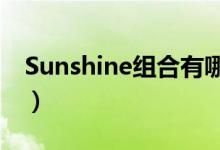 Sunshine组合有哪些成员（她们唱过什么歌）