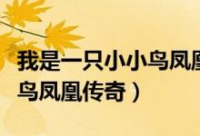 我是一只小小鸟凤凰传奇歌词（我是一只小小鸟凤凰传奇）