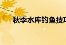 秋季水库钓鱼技巧（水库怎样钓黑鱼）