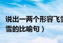 说出一两个形容飞雪的比喻（写出两个形容飞雪的比喻句）