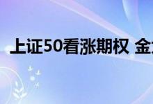 上证50看涨期权 金太阳能炒上证50期权吗 