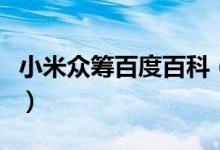 小米众筹百度百科（小米众筹规则具体是什么）