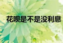 花呗是不是没利息 花呗没有利息算贷款吗