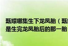 甄嬛哪集生下龙凤胎（甄嬛传里甄嬛有第四胎是第几集（就是生完龙凤胎后的那一胎））