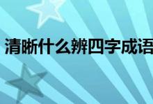 清晰什么辨四字成语（清晰可辨的成语解释）